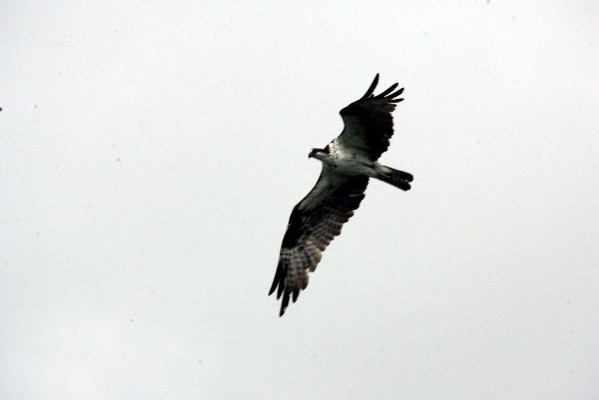 HW7S0396.JPG