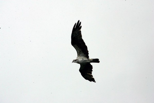 HW7S0398.JPG