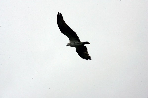 HW7S0399.JPG