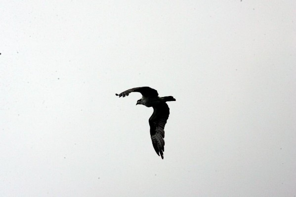 HW7S0401.JPG