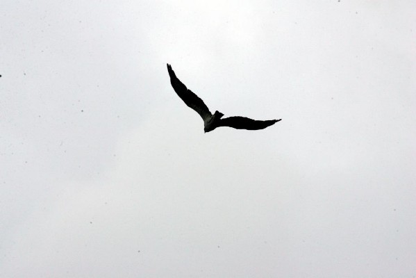 HW7S0405.JPG
