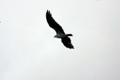 HW7S0399.JPG